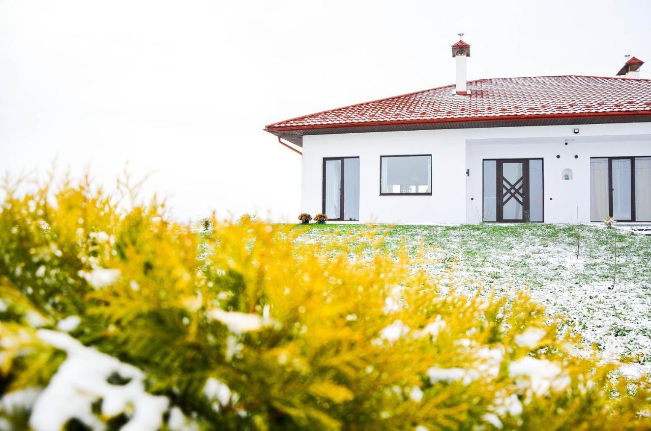Krayka House Villa Starunya Bagian luar foto